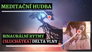 DELTA VLNY  Binaurální rytmy  Relaxační léčivá a MEDITAČNÍ HUDBA na spaní proti stresu strachu [upl. by Kidder301]