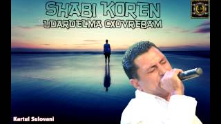 Shabi Koren  UDARDELMA CXOVREBAM [upl. by Ahtan517]