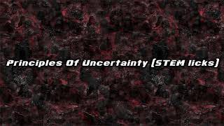 Principles Of Uncertainty STEM licks [upl. by Anaillil998]