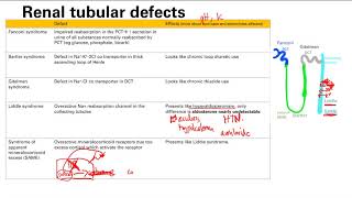 Renal tubular defects  Renal system  Step 1 Simplified [upl. by Neggem]