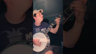 Pantera quotMouth for Warquot on banjo [upl. by Sofie819]