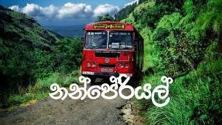 Nanperiyal estate  නන්පෙරියල්  Nonpareil  Nonperial viralvideo trending viralvideo viral [upl. by Ahsinaw]