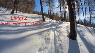 Monte Rocca e Monte Crapene scialpinismo sicuro sulle alture di Livigno [upl. by Earised349]