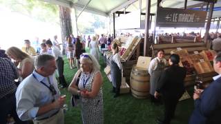 Auction Napa Valley [upl. by Delamare52]