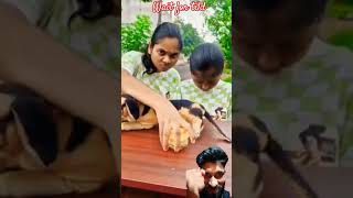 Wel tech you😱🤣 Tomamp Jerry 😱 funny comedy cat shorts telugu tamil viralvideo love [upl. by Nehgaem]