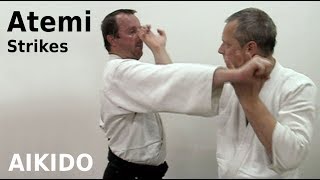 Aikido ATEMI  striking techniques by Stefan Stenudd in 2008 [upl. by Aldarcy]