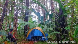 solo camping heavy rain and storms sleeping in a very comfortable and relaxing tent [upl. by Mariande346]