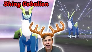 Shiny Cobalion 638 in Pokémon Sword and Shield [upl. by Weston]