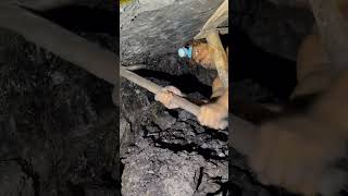 Amazing Process of Coal mining shorts amazing [upl. by Teik]