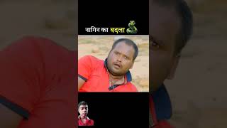 नागिन का बदला😡 story nagin snake amazingfacts factsinhindi shortfeed facts funnynagin [upl. by Lindsay]