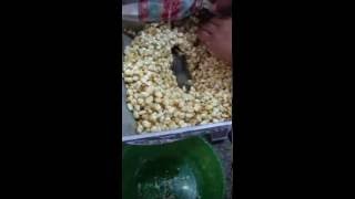 Como moler nixtamal  para tortillas de maquina [upl. by Lesslie882]