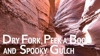 DRY FORK PEEK A BOO amp SPOOKY  Les slots canyons les plus étroits des USA [upl. by Brodsky]