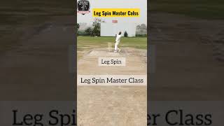 Leg Spin bowling Full Demonstration  Googly  Flipper  TopSpin  shorts legspin [upl. by Patnode]