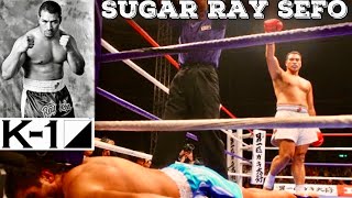 Ray Sefos K1 Kickboxing Knockouts [upl. by Shawn]