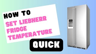 Setting the Perfect Liebherr Fridge Temperature in No Time [upl. by Michey]