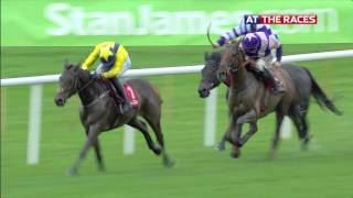 Punchestown highlights 14th November 2015 [upl. by Ahras]