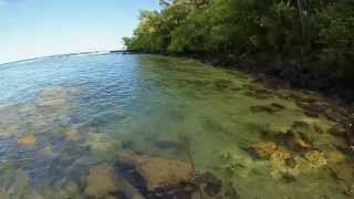 Awesome Surf Fishing Kauai Hawaii [upl. by Ehsiom]