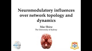 Dynamical Systems in Neuroscience Mac Shine on Neuromodulation [upl. by Lily626]