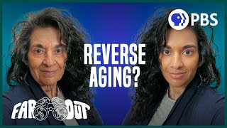 How to Stop And Even Reverse Aging [upl. by Vories50]