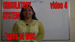 CIRCULATORY SYSTEM Types of WBC BIOLOGY ICSE ISCCBSENEET Prepration [upl. by Votaw703]