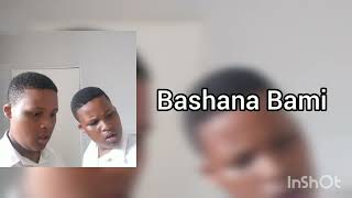 Bashana Bami Feat Malume [upl. by Doowrehs]