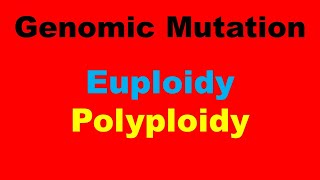 Euploidy l Polyploidy l Genomic Mutations [upl. by Novar822]