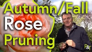 How to AutumnFall Prune Roses  Pots amp Trowels [upl. by Cyna930]