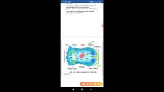 Locomotion in amoeba  solgel theory  change of viscosity theory  amoeba  Pseudopodia  zoology [upl. by Best]