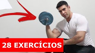 28 Exercícios com apenas 2 halteres treino em casa [upl. by Nauqahs267]