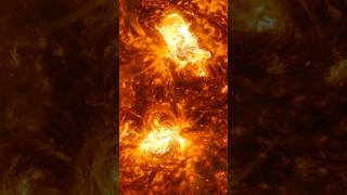 The Sun Just Produced A Sympathetic Solar Flare shorts science space [upl. by Talanian]