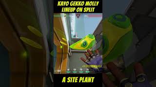 Kayo and Gekko Molly Lineup on Split  A backsite Plant gekkolineups 발로란트 kayo [upl. by Hsekin]