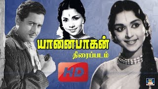 யானைபாகன் திரைப்படம் 1960  Yanaipagan Full Movie 1960  UdaykumarSarojadevi  GoldenCinema [upl. by Nole]