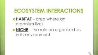 Ecology Notes  Organisms amp Their Relationships [upl. by Gignac]