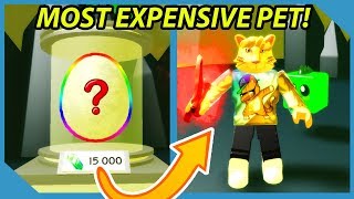 Buying The Most Expensive Pet in Roblox Slaying Simulator [upl. by Ahtamas791]