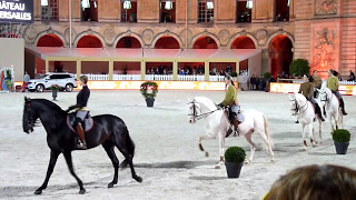 Spectacle Académie Equestre Versailles Jumping 2017 [upl. by Eisac]