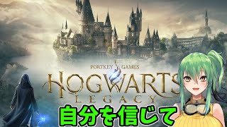 【ホグワーツレガシー】part12 自分を信じて【PC 】 [upl. by Ayiak]