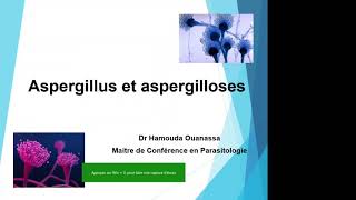 Aspergillus et aspergilloses [upl. by Reppart695]