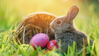 Why does Easter Sundays date change from year to year [upl. by Chamkis]