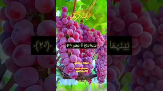 Quran tilawat Surah Al rehman ayat 16 to 22soulfulrecitation quran quranrecitation [upl. by Eimma]