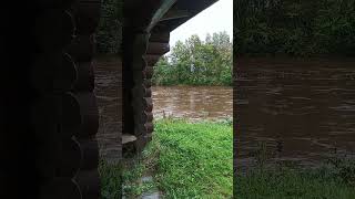 Urban river Steinkjer Norway mud from digging work [upl. by Damien]