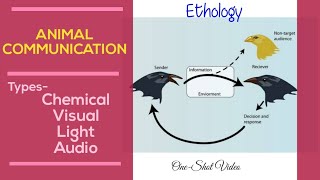 Animal CommunicationChemical Visual Light and AudioBsc MscEthologyAnimal BehaviourOneShot [upl. by Aidni]