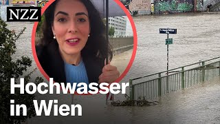 Hochwasser in Wien Nicht die Donau ist das Problem – sondern der Wienfluss [upl. by Mayhew]