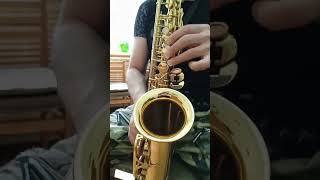 Yanagisawa A50 alto saxophone Japan [upl. by Ulani171]