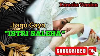 ISTRI SALEHA  GAYO OFFICIAL MUSIC KARAOKE VERSION 2024 [upl. by Ainoyek]