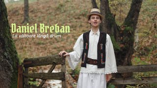 Daniel Breban  La vâltoare lângă drum [upl. by Dumah]