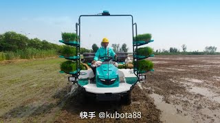 Kubota rice transplanter I Kubota SPV6MD I Rice transplanter [upl. by Reiter]