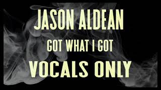 Jason Aldean  Got What I Got VOCALS ONLY [upl. by Omland]