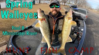 Big Spring Walleyes on the Mississippi River [upl. by Josephine478]