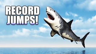 Highest Shark Jumps How High Can Sharks Jump [upl. by Yniattirb]