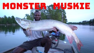 Catching The Muskie Of A Lifetime On Lake Vermillion With A Crazy Topwater [upl. by Nudnarb]